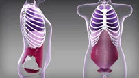 En video om teknikker til at minimere risikoen for parastomal brok ved at styre intraabdominalt tryk.