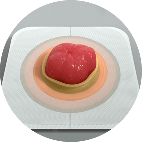 un plato con comida